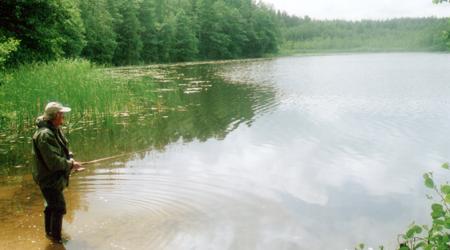 Jezioro Borówko