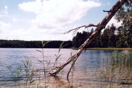 Jezioro Łabuny Duże