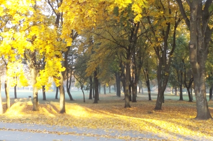 Jesień idzie przez park