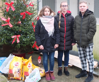 Akcje wolontariackie uczniów z Olszyn