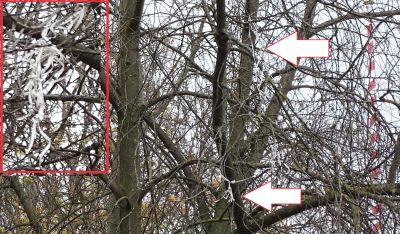 Lockdown po szczycieńsku