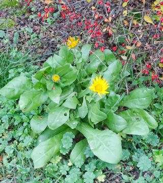 Patriotycznie w powiecie