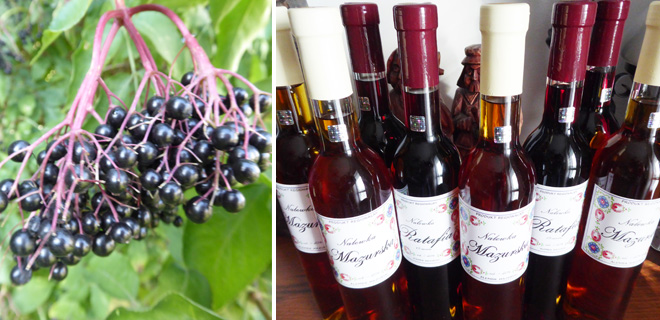 Mazurskie smaki - nalewka z czarnego bzu