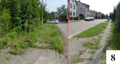 Potrójnie świąteczna niedziela