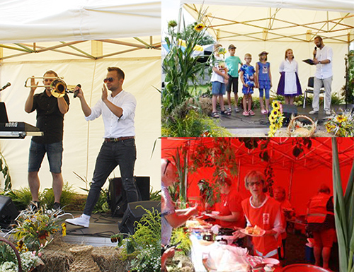 Święto plonów w czasie pandemii