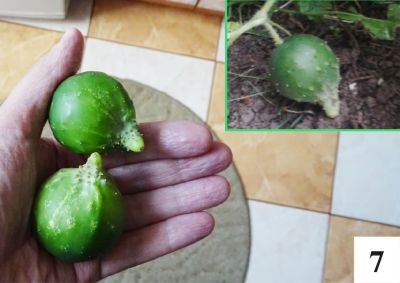 Światowo w Szczytnie