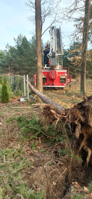 Złamane drzewa zagroziły domkom
