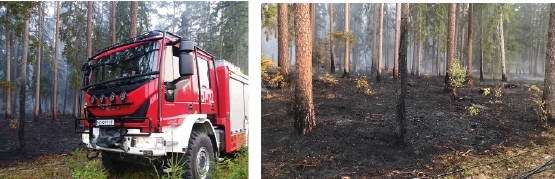 Największy od lat pożar lasu