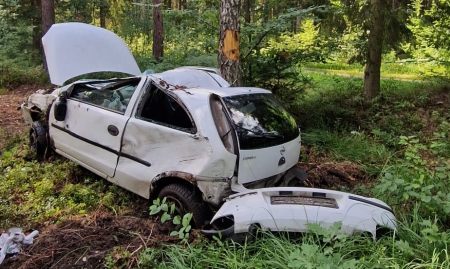 Wypadł z drogi i uderzył w drzewo