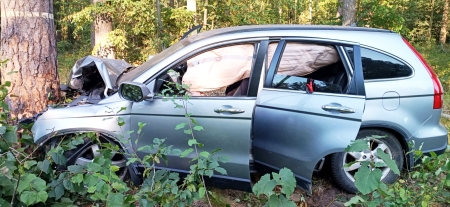 Kraksa z promilami, pasażerami i psem