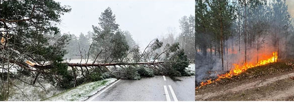 Strażackie zmagania z żywiołami