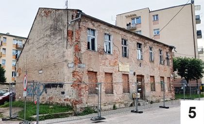 Uwaga na uschnięte drzewa