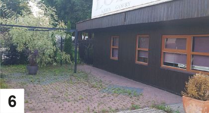 Uwaga na uschnięte drzewa