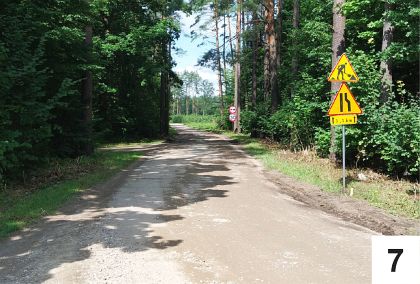 Uwaga na uschnięte drzewa