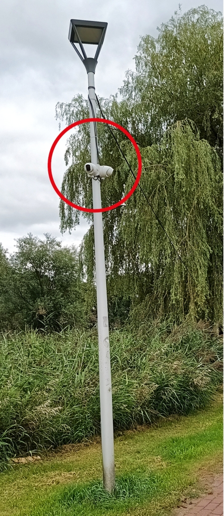 Miasto w oku monitoringu