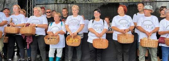 Wielbark pachnący grzybami
