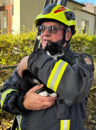 Kot na siedmiu metrach