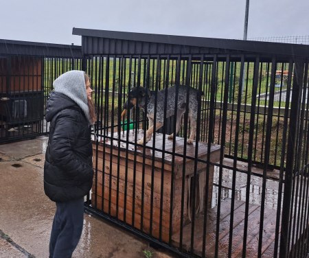 Pod opieką świętego Franciszka