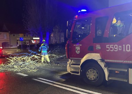 Powiało i połamało