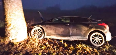 Ford uderzył w drzewo