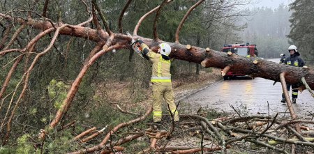 Ekwiwalent nie do końca zadowalający