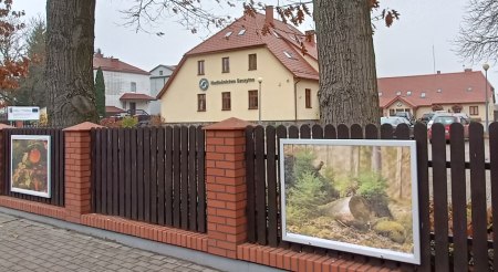Zrób zdjęcie, które ozdobi płot nadleśnictwa