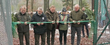 Leśnicy ratują rysie