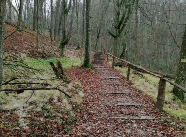 Rezerwat przyrody i przygody