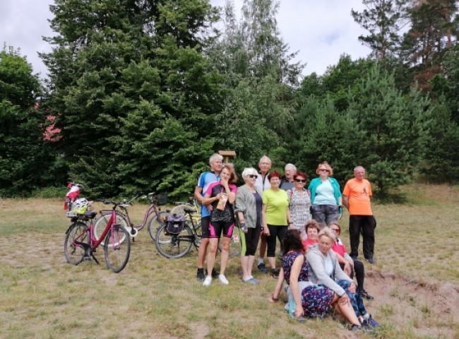 Poziomki i biedronki